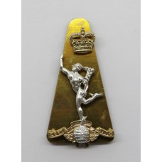 Royal Corps of Signals Anodised (Staybrite) Cap Badge - Queen's Crown