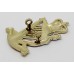 Royal Irish Rangers Anodised (Staybrite) Cap Badge