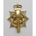 Gloucestershire & Hampshire Regiment Anodised (Staybrite) Cap Badge - Queen's Crown