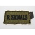 Royal Signals (R. SIGNALS) Cloth Slip On Shoulder Title