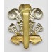 Leinster Regiment Cap Badge (Curly Scrolls Variant)
