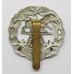 Hampshire Regiment Cap Badge