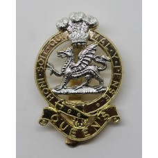 Queen's Royal Regiment Anodised (Staybrite) Cap Badge