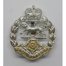 Royal Hampshire Regiment Anodised (Staybrite) Cap Badge