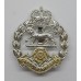 Royal Hampshire Regiment Anodised (Staybrite) Cap Badge