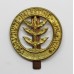 Palestine Regiment Cast Cap Badge