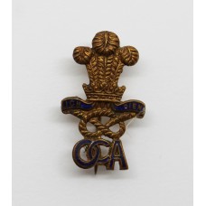 North Staffordshire Regiment Old Comrades Association Lapel Badge