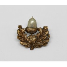 Cheshire Regiment Collar Badge