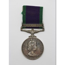 Campaign Service Medal (Clasp - Borneo) - Pte. P.D. Llewellyn, Intelligence Corps