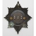 Airport Police Helmet Plate (246)