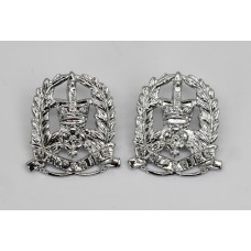 Pair of Hampshire Constabulary Collar Badges - Queen's Crown