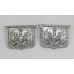 Pair of Southampton Police Collar Badges