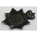 Durham County Constabulary Night Helmet Plate - Queen's Crown