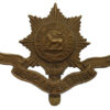Worcestershire Regiment Cap Badge