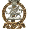 Queen's Royal Regiment Anodised (Staybrite) Cap Badge