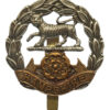 Hampshire Regiment Cap Badge