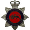 Surrey Constabulary Enamelled Star Cap Badge - Queen's Crown