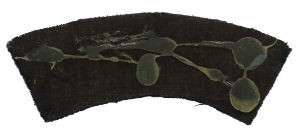 Lincolnshire Police Cadet Cloth Shoulder Title Badge