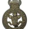 Lincolnshire Constabulary Cap Badge - Queen's Crown