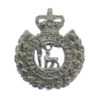 Berkshire Constabulary Collar Badge - Queen's Crown