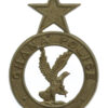 Ghana Police White Metal Cap Badge