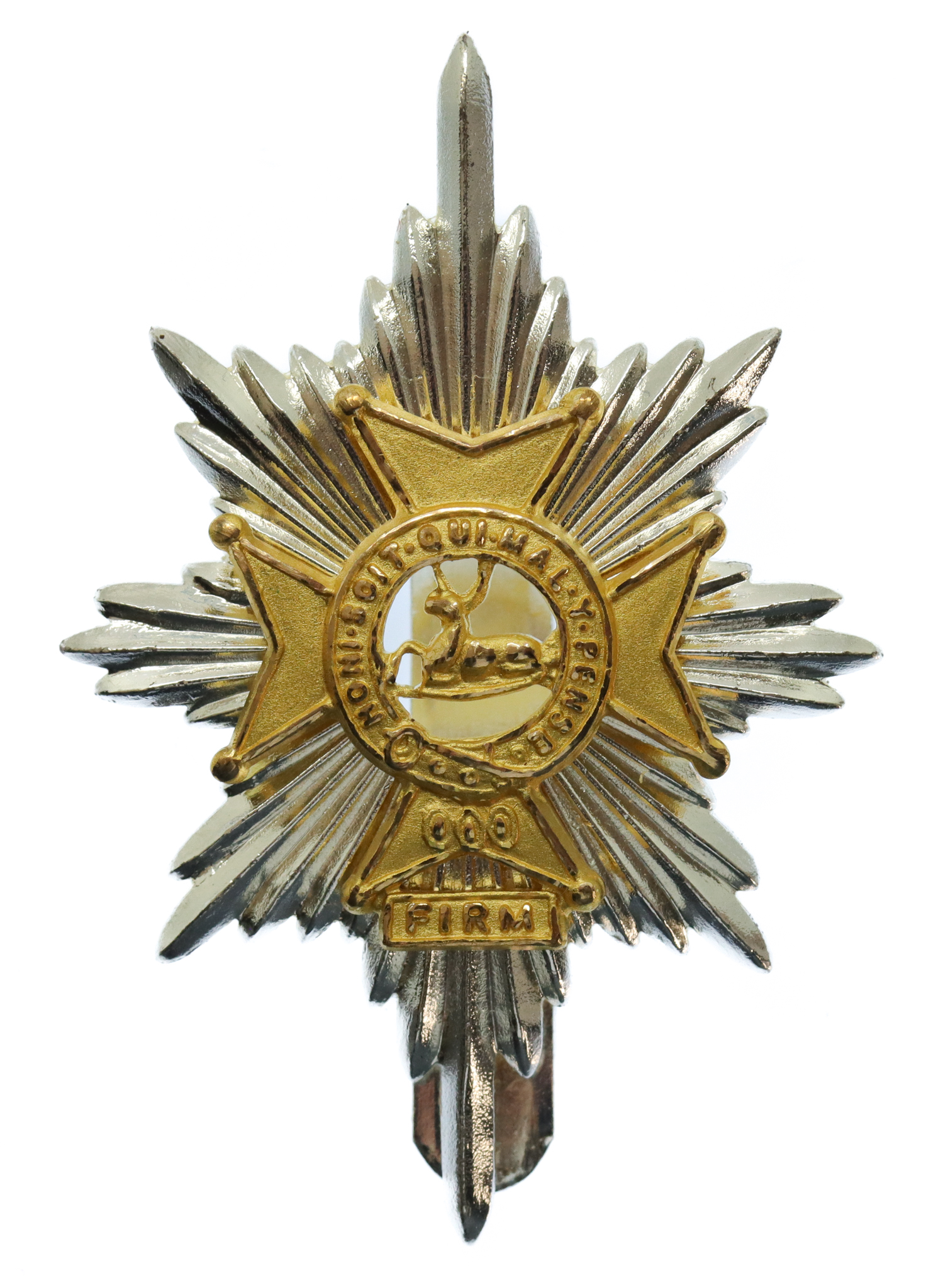 Worcestershire & Sherwood Foresters Bi-Metal Cap Badge