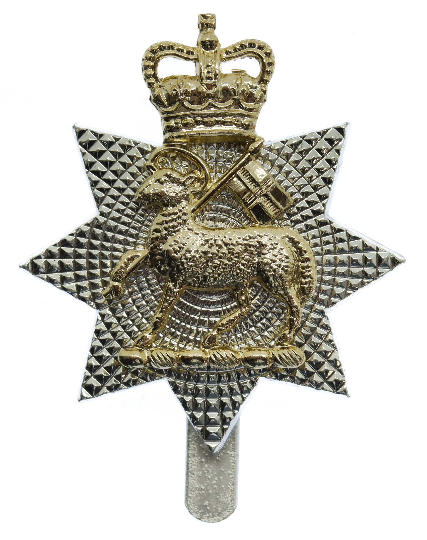 The Queen's Royal Surrey Regiment Anodised (Staybrite) Cap Badge