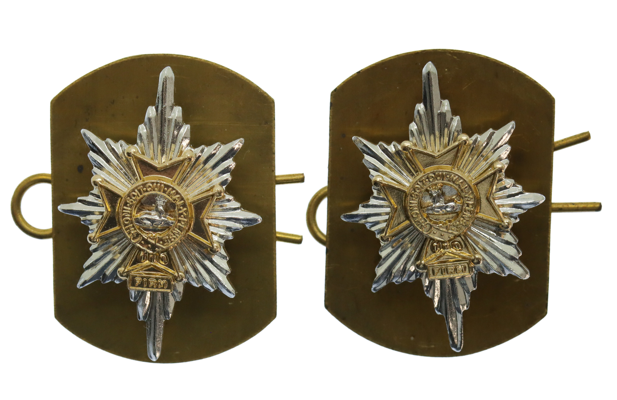 Pair of Worcestershire & Sherwood Foresters Anodised (Staybrite) Collar Badges