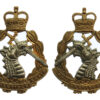 Pair of Royal Army Dental Corps (R.A.D.C.) Bi-Metal Collar Badges - Queen's Crown