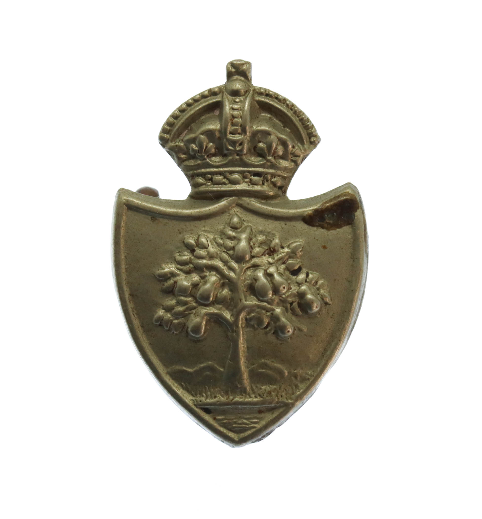 Worcestershire Constabulary White Metal Collar Badge - King's Crown