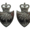Pair of Worcestershire Constabulary Collar Badges - Queen's Crown