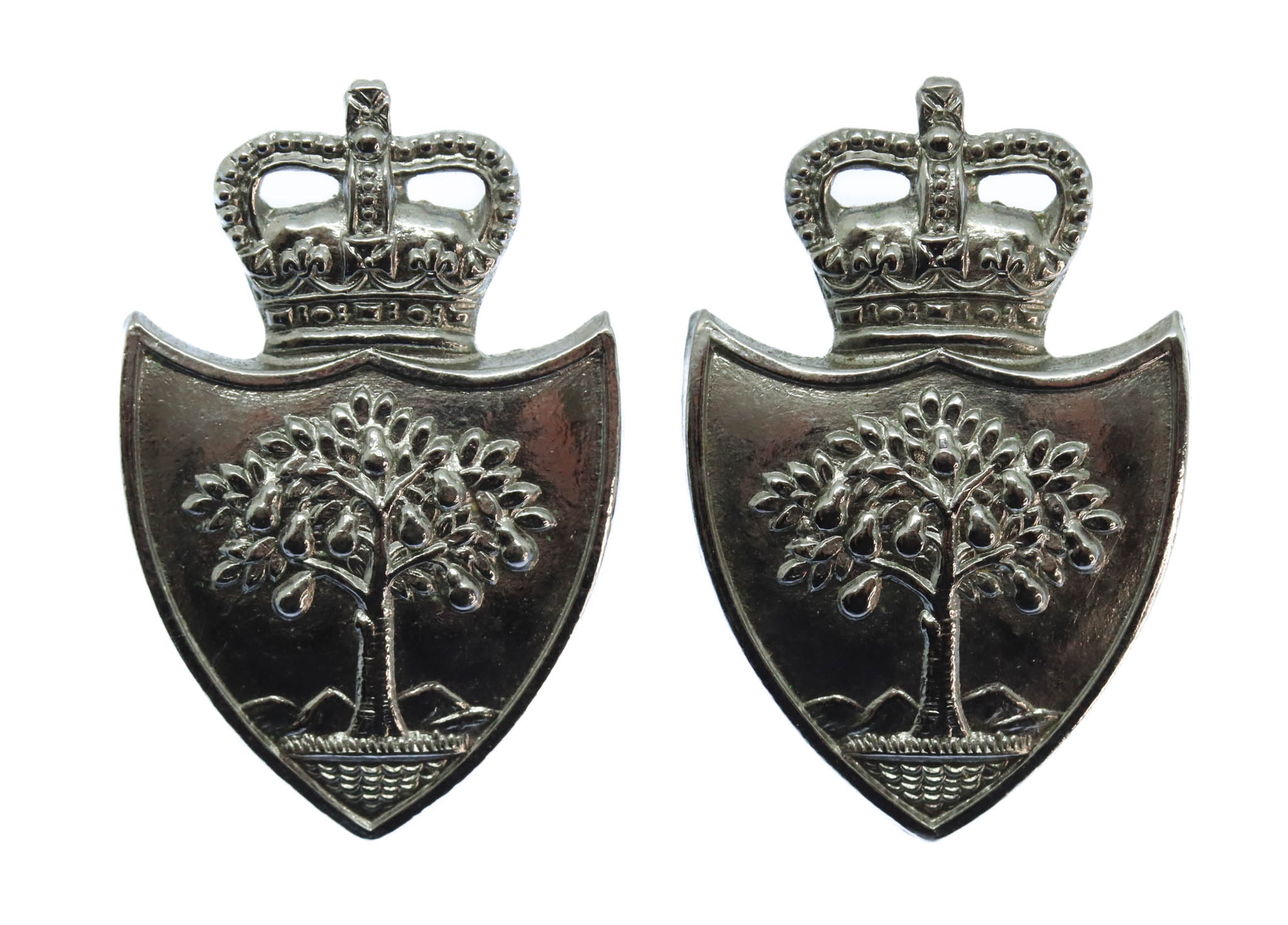 Pair of Worcestershire Constabulary Collar Badges - Queen's Crown