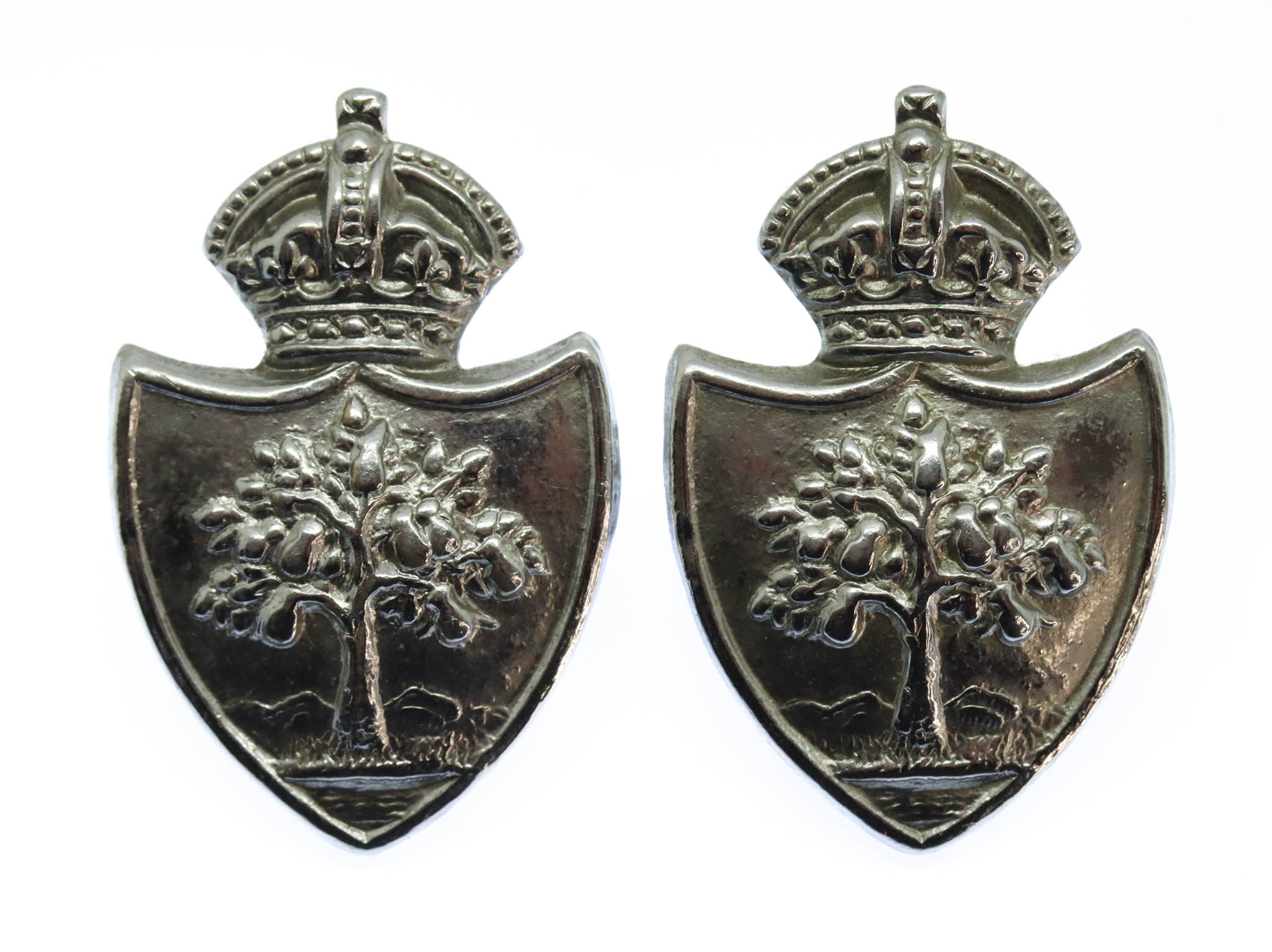 Pair of Worcestershire Constabulary Collar Badges - King's Crown