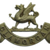 Glamorgan Constabulary White Metal Collar Badge