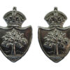 Pair of Worcestershire Constabulary Chrome Collar Badges - King's Crown