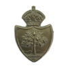 Worcestershire Constabulary White Metal Collar Badge - King's Crown