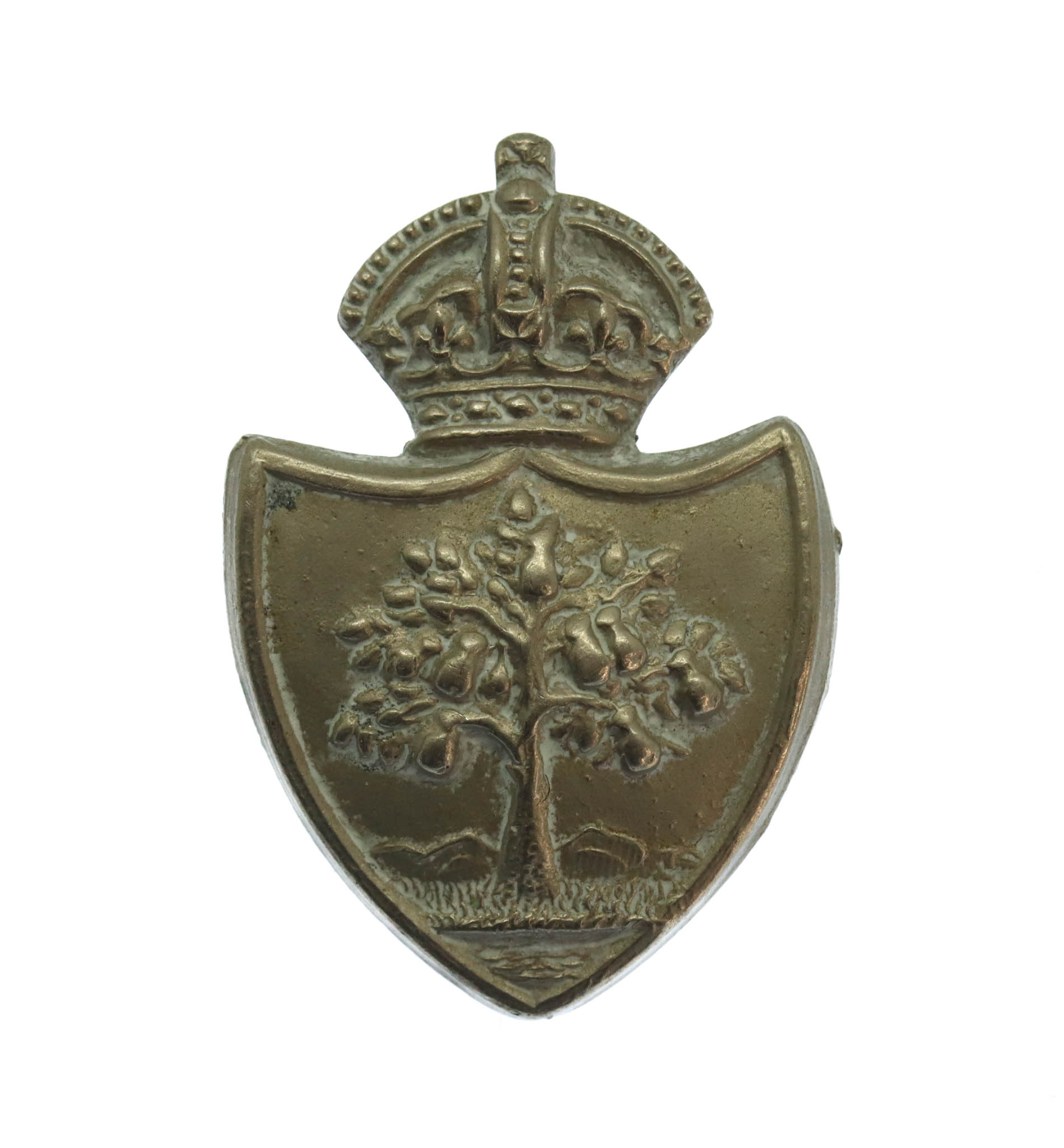 Worcestershire Constabulary White Metal Collar Badge - King's Crown