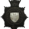 Norfolk Constabulary Night Helmet Plate - Queen's Crown