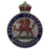 Glamorgan Special Constabulary Enamelled Lapel Badge - King's Crown