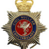Civil Nuclear Constabulary Enamelled Helmet Plate - Queen's Crown