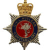 Civil Nuclear Constabulary Enamelled Cap Badge - Queen's Crown