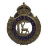 Berkshire Police Special Reserve Enamelled Lapel Badge - King's Crown