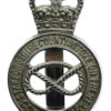 Staffordshire County & Stoke - on -Trent Constabulary Cap Badge - Queen's Crown