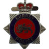 Surrey Police Enamelled Warrant Card Badge
