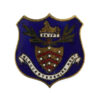 Gloucestershire Regiment Blue Enamelled Shield Sweetheart Brooch