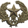 Cameronians (Scottish Rifles) Cap Badge