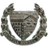 Solihull School C.C.F. Anodised (Staybrite) Cap Badge