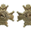 Pair of Notts & Derby Regiment (Sherwood Foresters) Anodised Collar Badges 