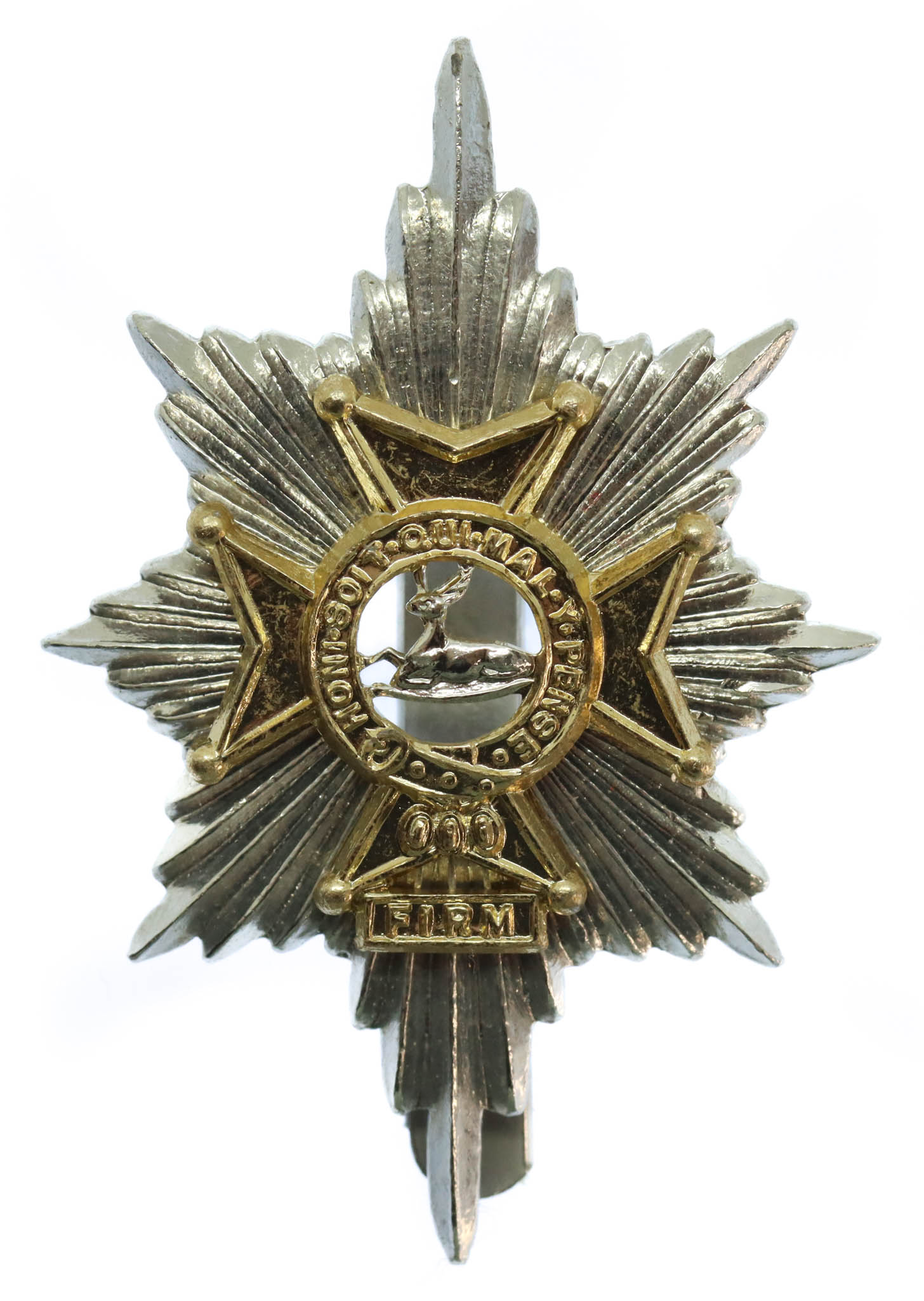Worcestershire & Sherwood Foresters Anodised (Staybrite) Cap Badge