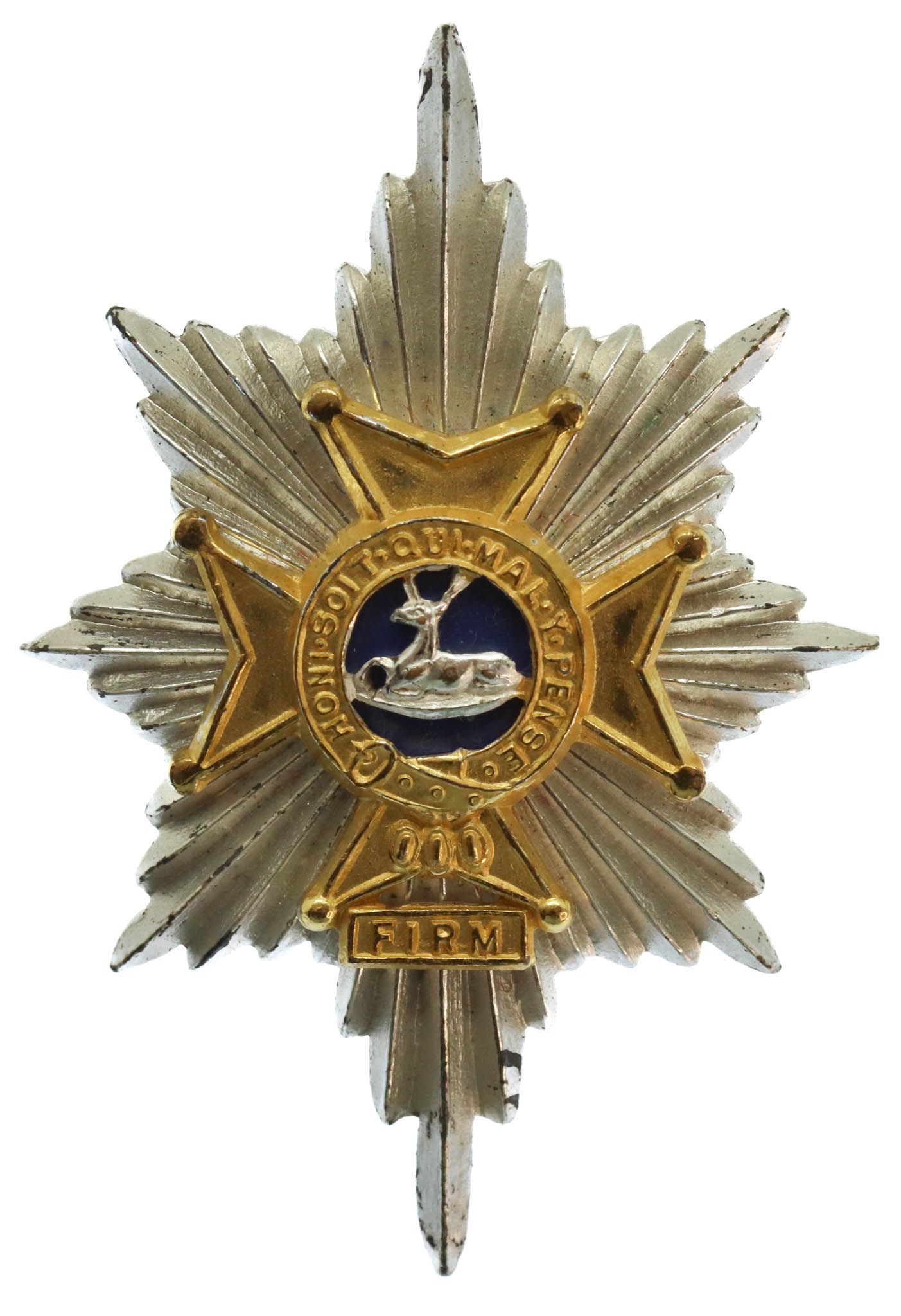 Worcestershire & Sherwood Foresters Officer's Cap Badge